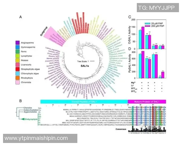 武汉攀岩队力量表现数据分析揭示训练效果与运动员潜力的关系
