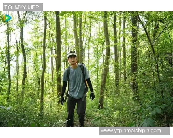 西安攀岩队的个人能力提升与团队协作热潮探讨